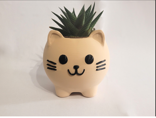 Cute Kitten Planter